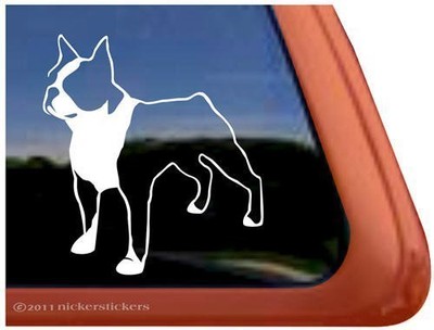 Boston Terrier ~ High Quality Vinyl Dog ...