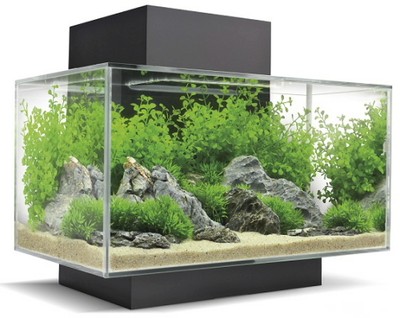 Fluval Edge II 6 Gal Aquarium Black ...