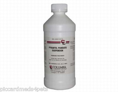 Pyrantel Pamoate  hookworms round worms Dogs ...