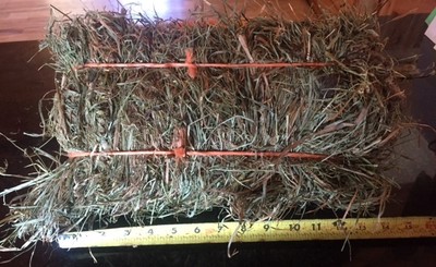 2nd Cut Timothy mix hay:Rabbit, Guinea Pig, ...
