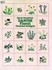 Book: Danish Floral Charted Designs by Gerda Bengtsson (1980, Paperback, Revised)