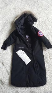 canada goose baby kijiji canada goose baby kijiji