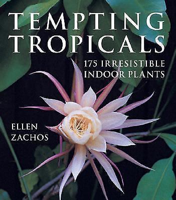 The Best Indoor Tropical Plants | eBay