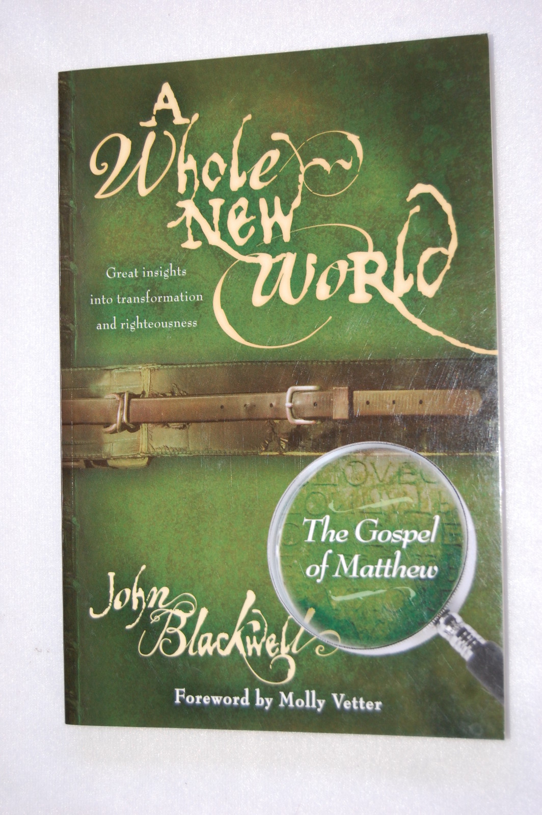 a whole new world   the gospel of matthew by john blackwell