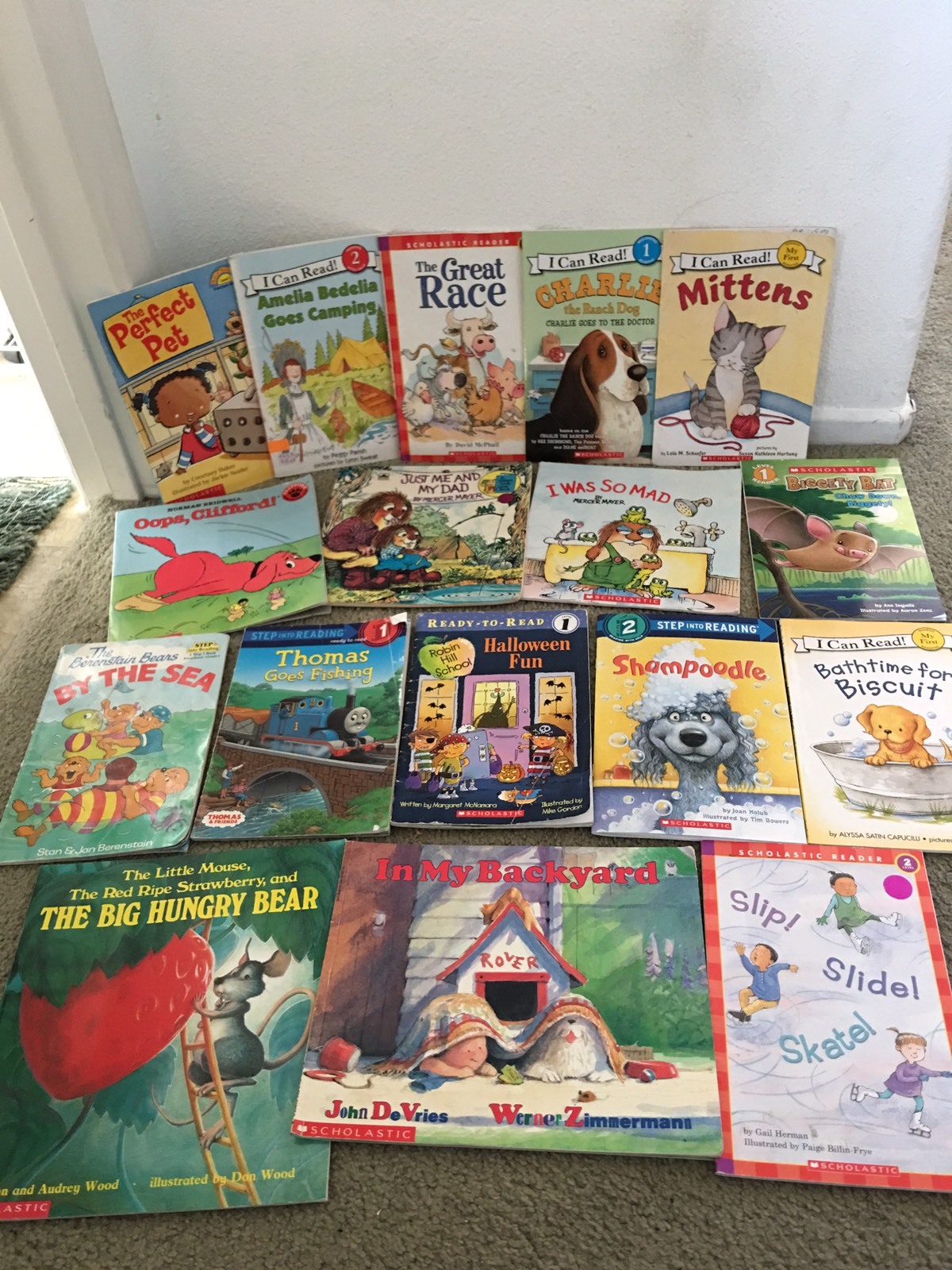 17 kids ar book lot readings level 1 0 1 9 1st grade kinder boys girls clifford