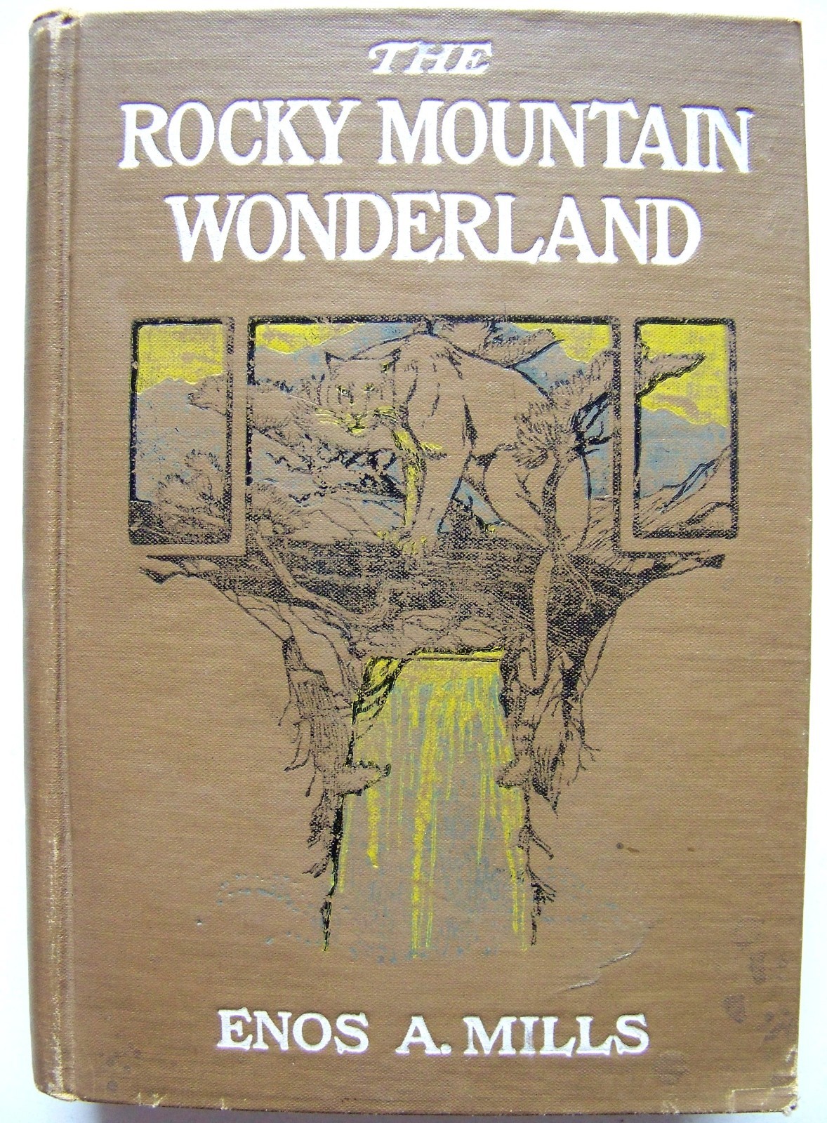 1915 1st edition the rocky mountain wonderland by enos a  mills illustrated