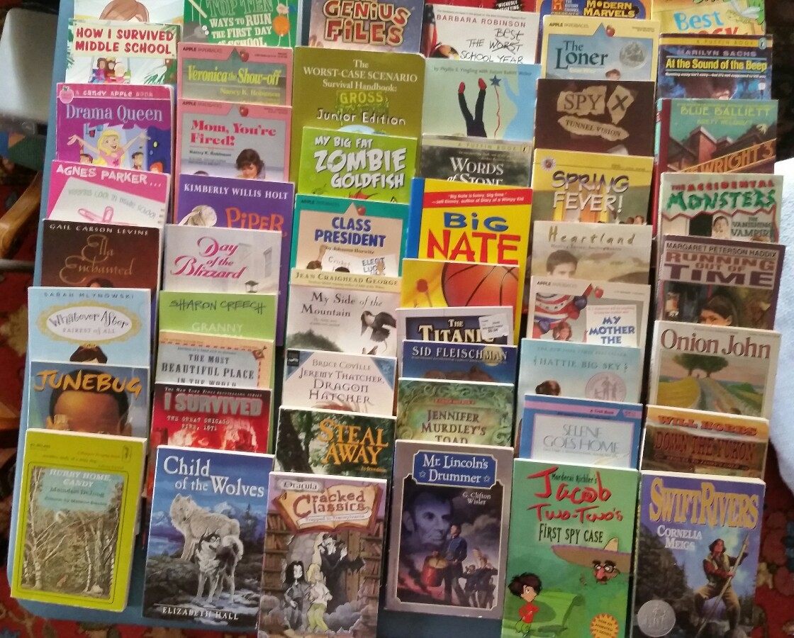 57 chapter book lot age 8 12 rl 4 5  teacher homeschool boy & girl interest