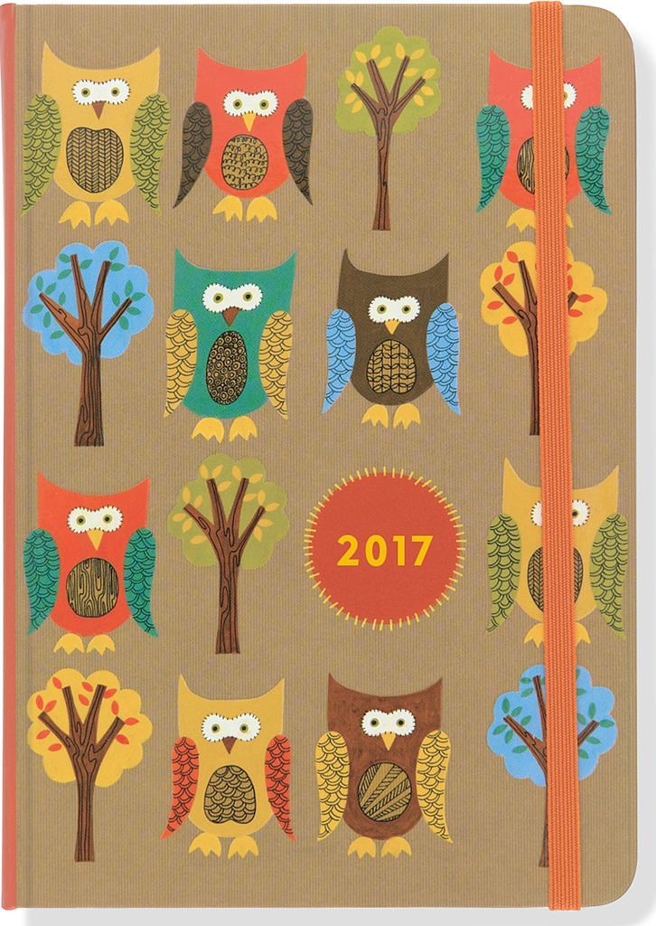 2017 diary owl 16 month academic weekly planner by peter pauper