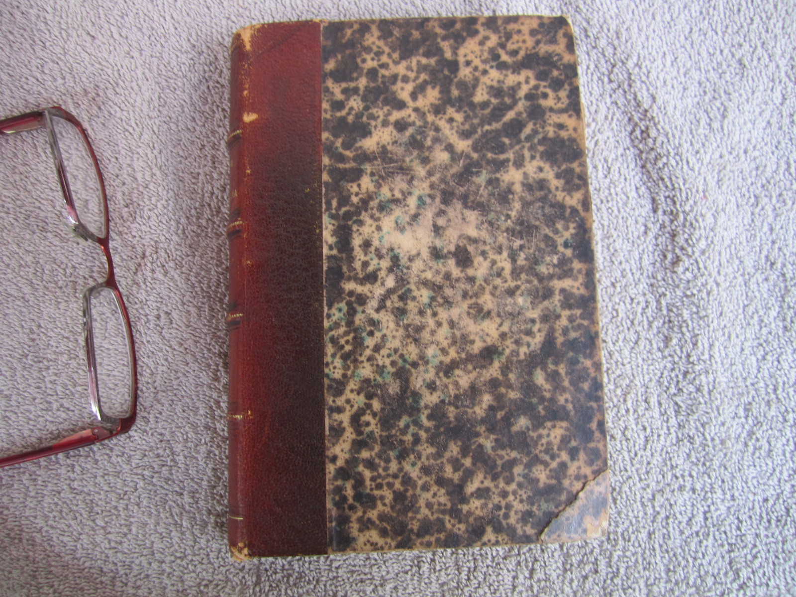 Antique leather display book italian language argentina latin america 1911
