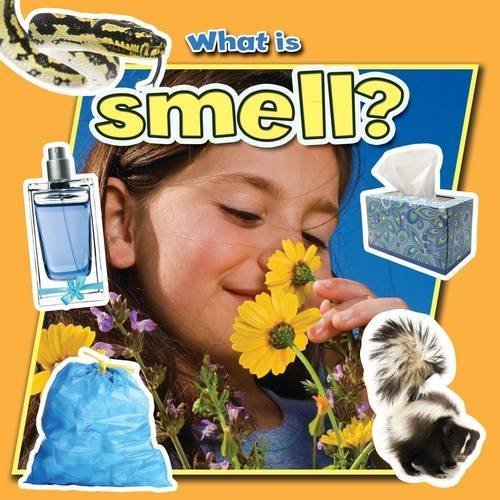 `aloian, molly`-what is smell?  book new