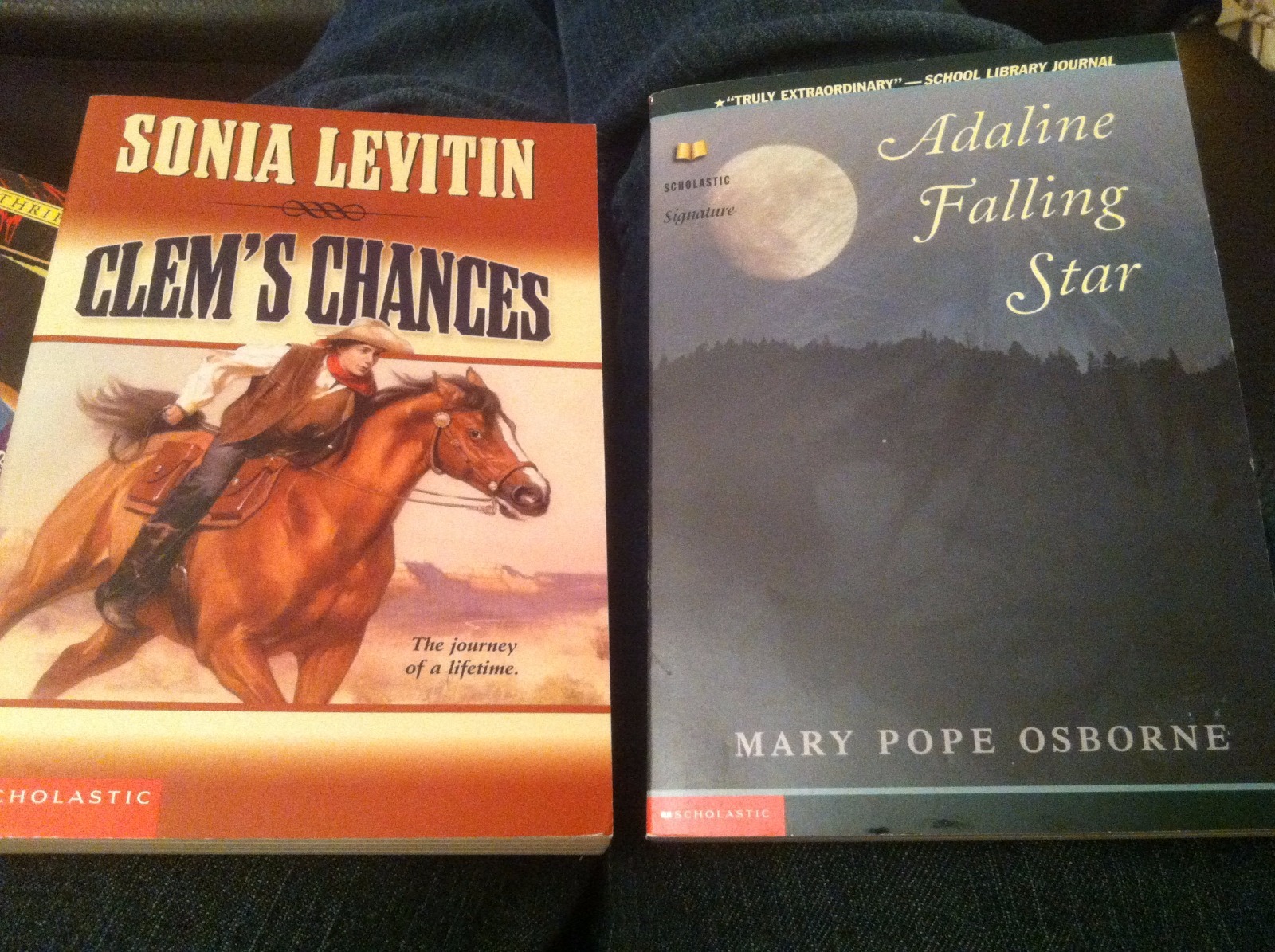 2 scholastic book set  clem s chances and adaline falling star