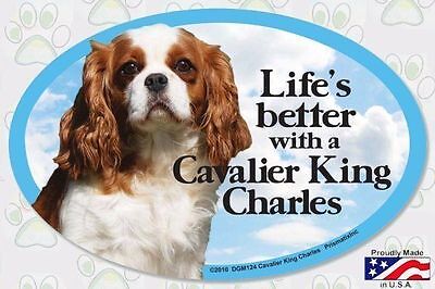 Life's Better with a Cavalier King Charles  6x4 Oval Dog Magnet for Cars & (Best Cars For Dogs)