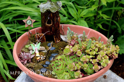 Succulent Garden Ideas | eBay