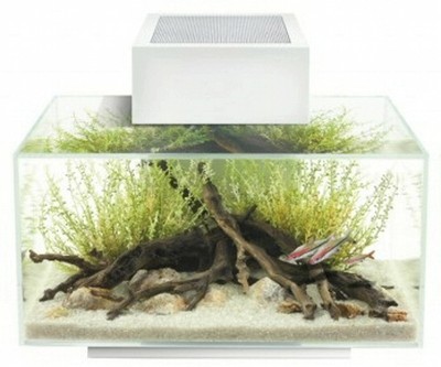 Fluval Edge II 6 Gal Aquarium White ...