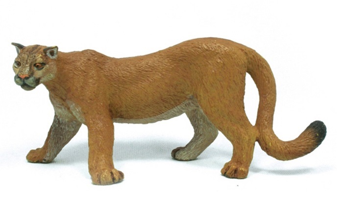 puma papo puma papo