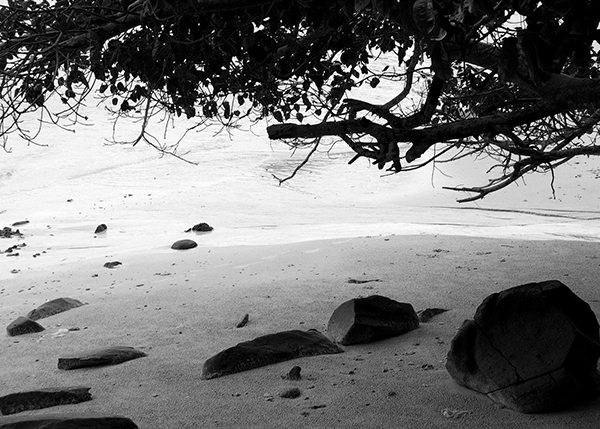 Creative Ways to Use Black and White Canvas Prints | eBay