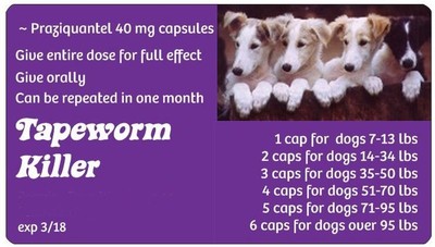 Tape Worm Medication for Dogs and Cats ...