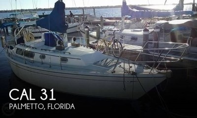 1982 CAL 31 Used