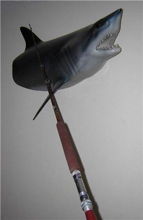 Used Ladies Golf Clubs >> Fenwick Saltwater Fishing Rod | eBay Used Ladies Golf Clubs >> Fenwick Saltwater Fishing Rod | eBay