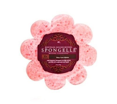 UPC 885909047505 product image for Spongelle 1 Daisy Shaped With Peony Cassis Infusion, 2.5 Ounce | upcitemdb.com