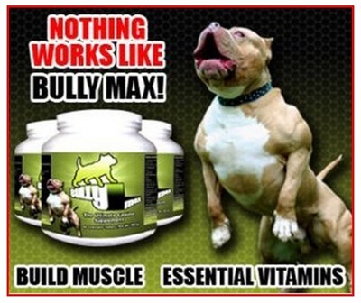 BULLY MAX MUSCLE BUILDER 60CT. 60 DAY ...