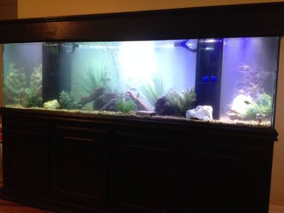 200 gallon aquarium, sump, stand, rocks, etc.