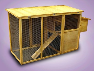 Chicken Coop Best Quality on the Market !!!Great for holding Chicken 