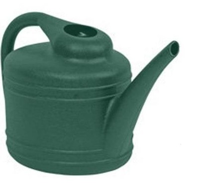 Dynamic Design WC4012FE Watering Can, 1Gallon, Fern ...