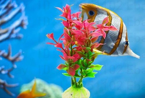 New Aquarium Plastic planta Fish Tank Decoration ...