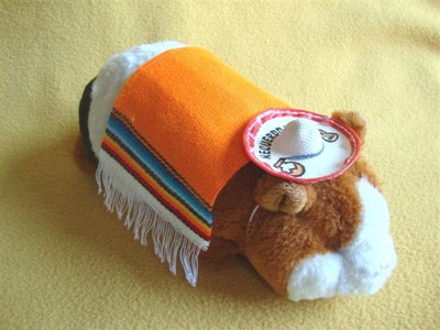 R.A.T.S. Mexican Tourist Costume for Guinea Pig