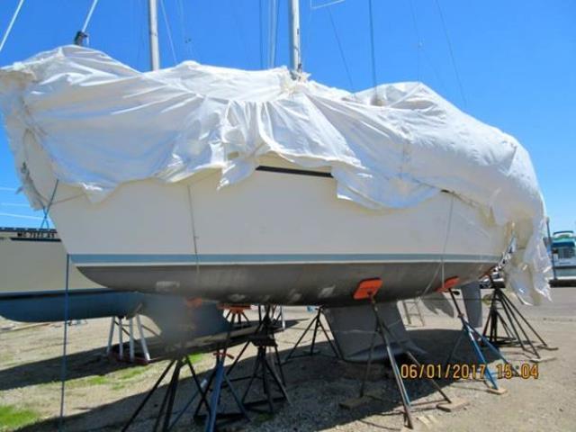 #10060 1989 30' Hunter Sloop Sailboat