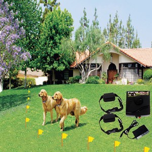 ELECTRIC PET FENCING IN DENVER COLORADO | COLORADO PET FENCE