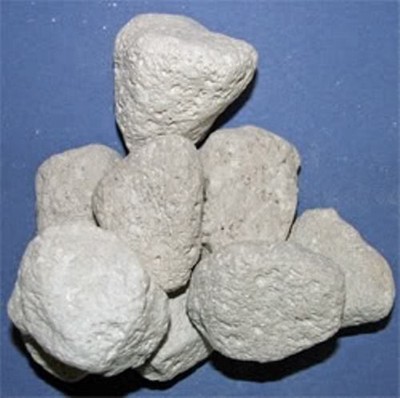 Chinchilla Natural Healthy Treat - Pumice Chew ...