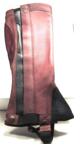 Ariat Half Chaps Small | eBay