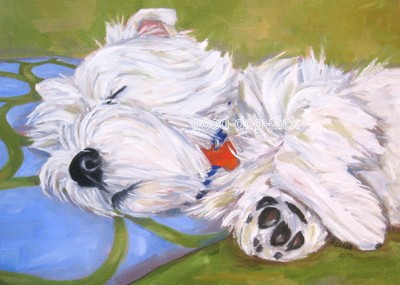 West Highland Terrier ACEO WESTIE PRINT 