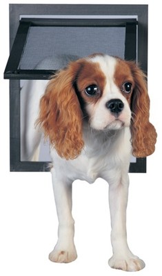 PetSafe Screen Door for Dogs & Cats ...