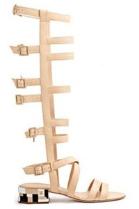 Clothing, Shoes  Accessories  Women's Shoes  Sandals  Flip Flops