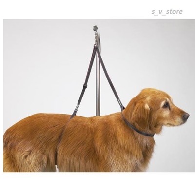 Nylon Dog Table Harness Grooming Pet Loops ...