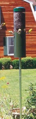 Birds Choice Squirrel Proof Bird Feeder With ...