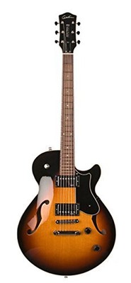 UPC 623501036622 product image for Godin Godin Guitars Semi - Hollow Body Electric Guitar Electric Guitar Electric | upcitemdb.com