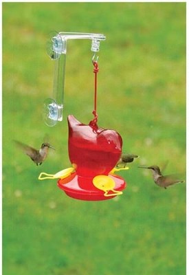 Songbird Essentials Red Hummingbird Window Feeder w/ ...