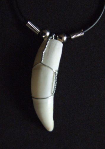 Animal Tooth Necklace | eBay