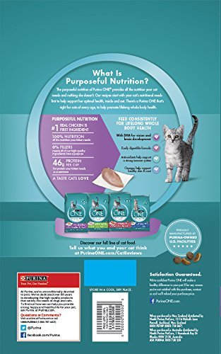 Purina ONE Dry Cat Food, Healthy Kitten Formula, 16-Pound Bag