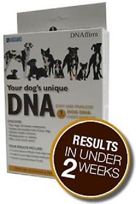 DNA My Dog Breed ID Test- Learn ...