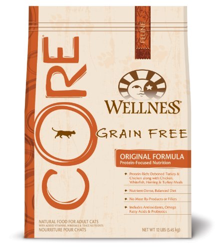 Wellness CORE Grain Free Dry Cat Food for Adult Cats
