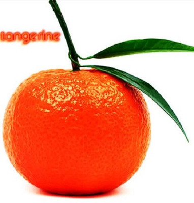 20 TANGERINE Mandarin Orange Citrus Fruit Tree ...