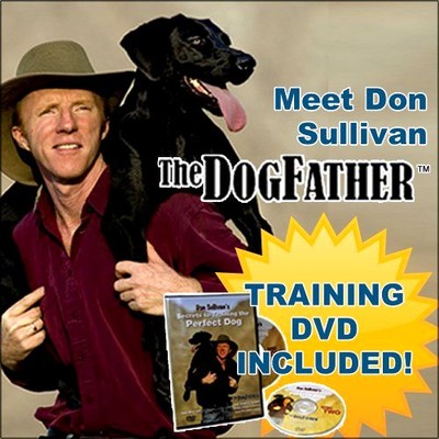 Don Sullivan Perfect Dog Training Obedience Command ...