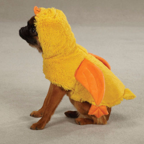 The Cutest Cat And Dog Halloween Costumes eBay