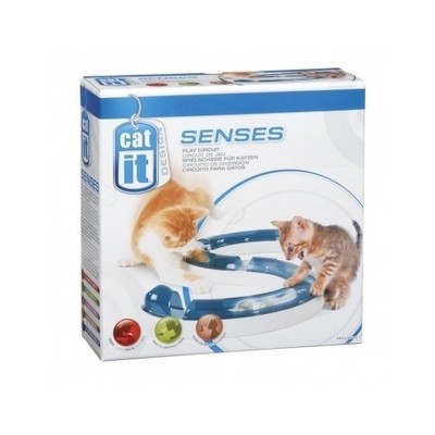 Pet Cat Kitten Senses Speed Circuit Interactive ...