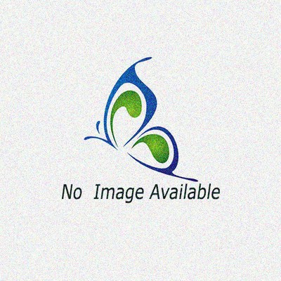 UPC 073598320119 product image for Urostomy Drain Tube Adapter Part No. 7331 Qty Per Box | upcitemdb.com
